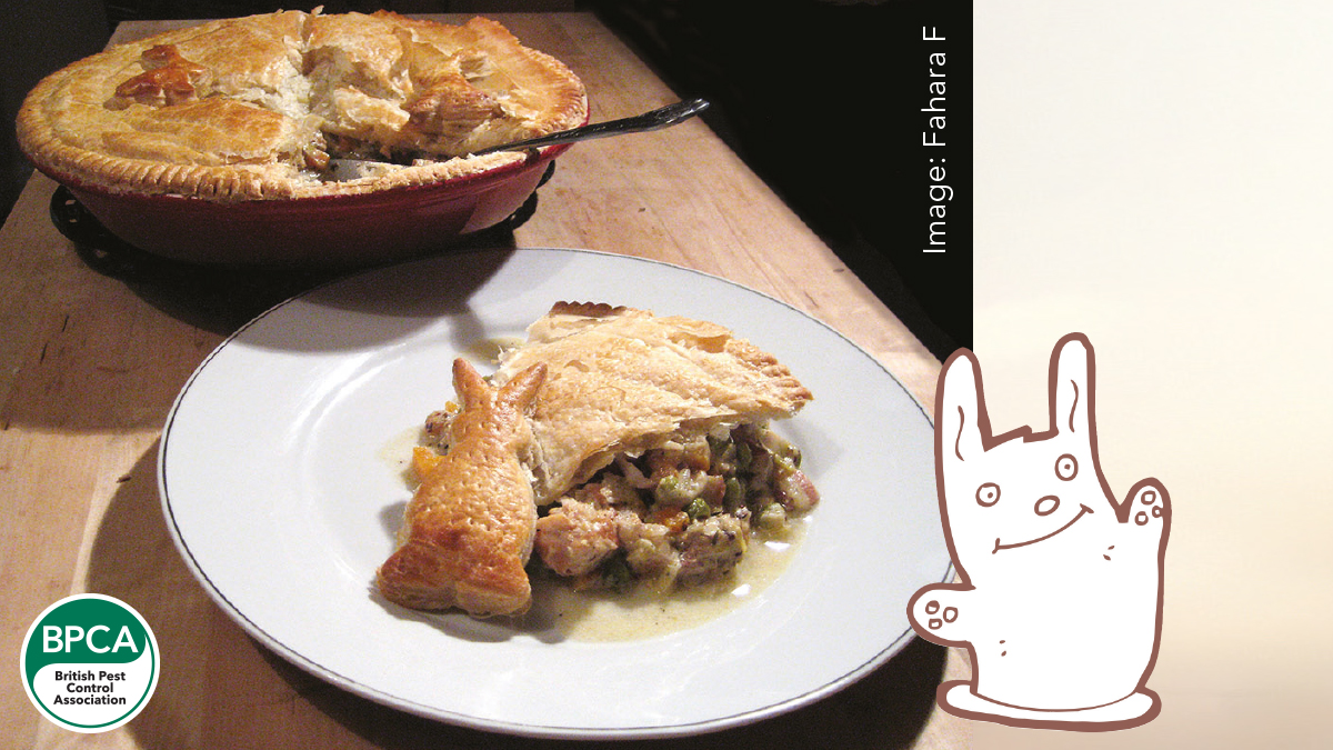 Daves traditional rabbit pie recipe Daves traditional rabbit pie recipe